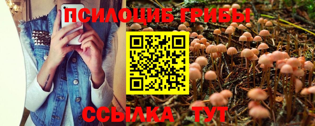 Псилоцибиновые грибы мицелий  Галлюциногенные грибы Psilocybine cubensis  Вход с VPN  как найти   Ачинск 