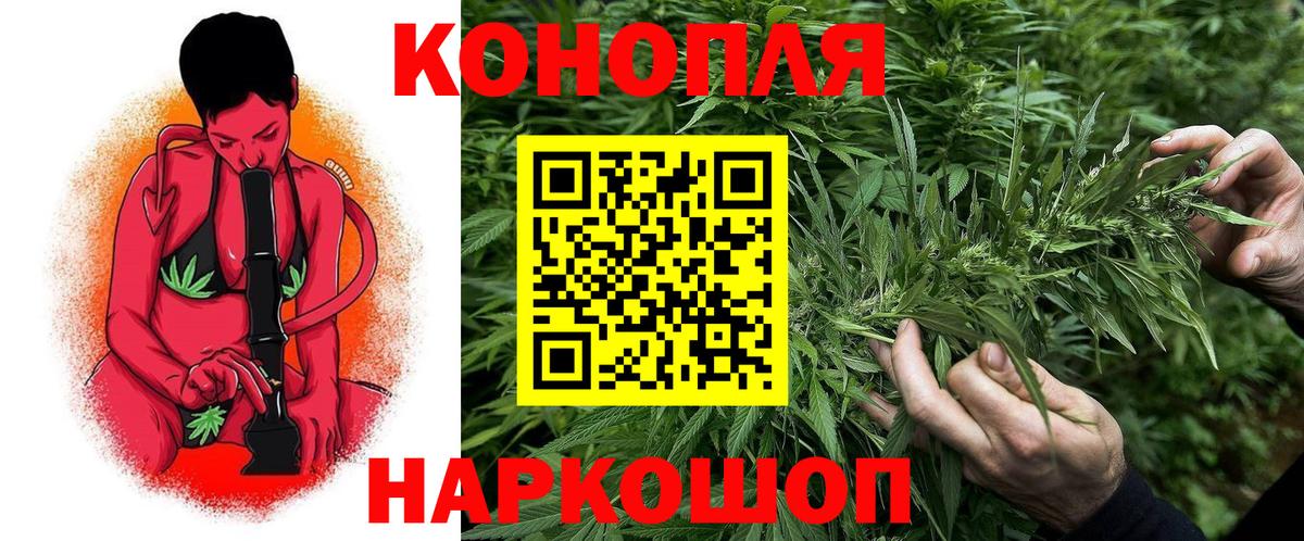 Бошки марихуана сатива  Канабис White Widow  Вход с VPN  МАРИХУАНА индика  Ачинск 